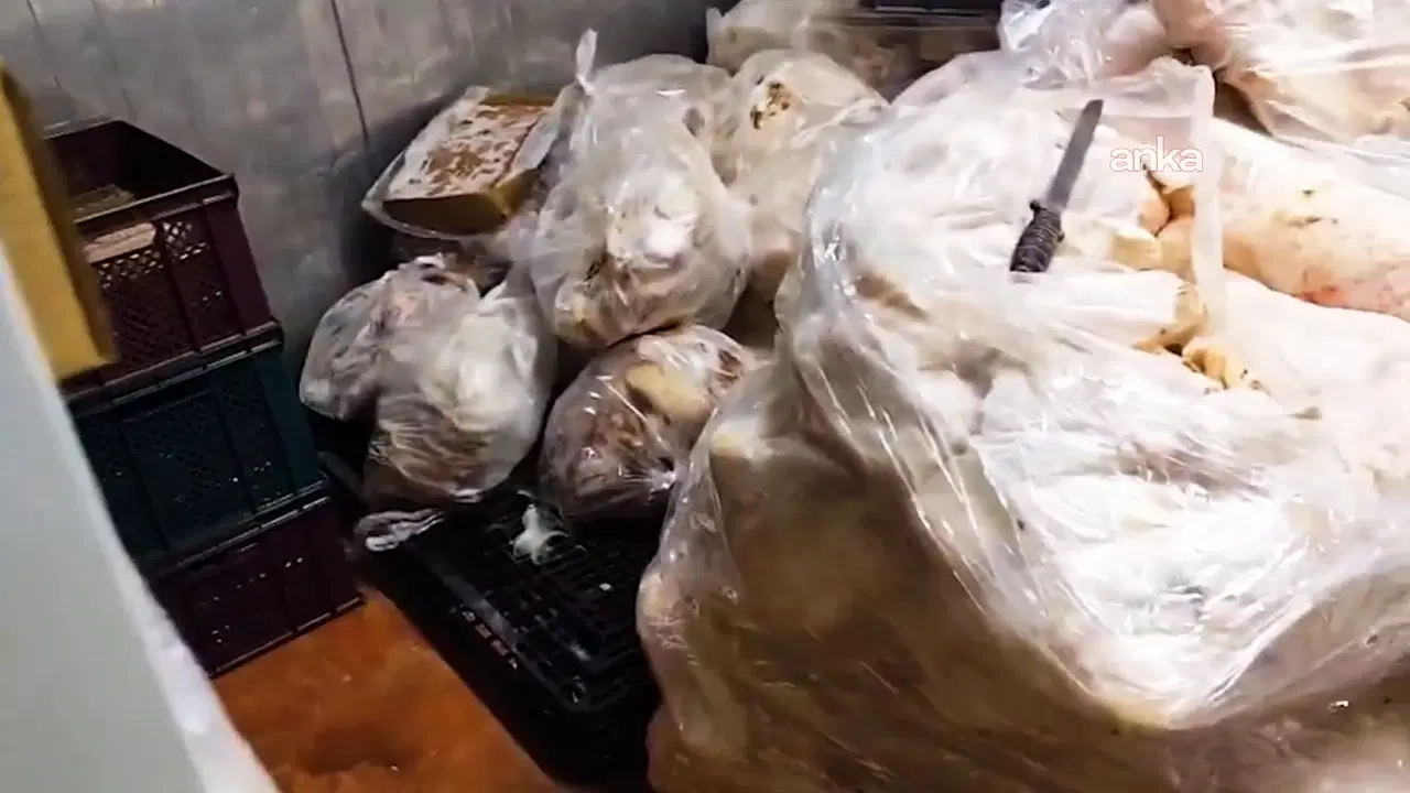 ankarada mide bulandiran saglik skandali bakanlik bin 316 kilogramini imha etti dX2rIxk6