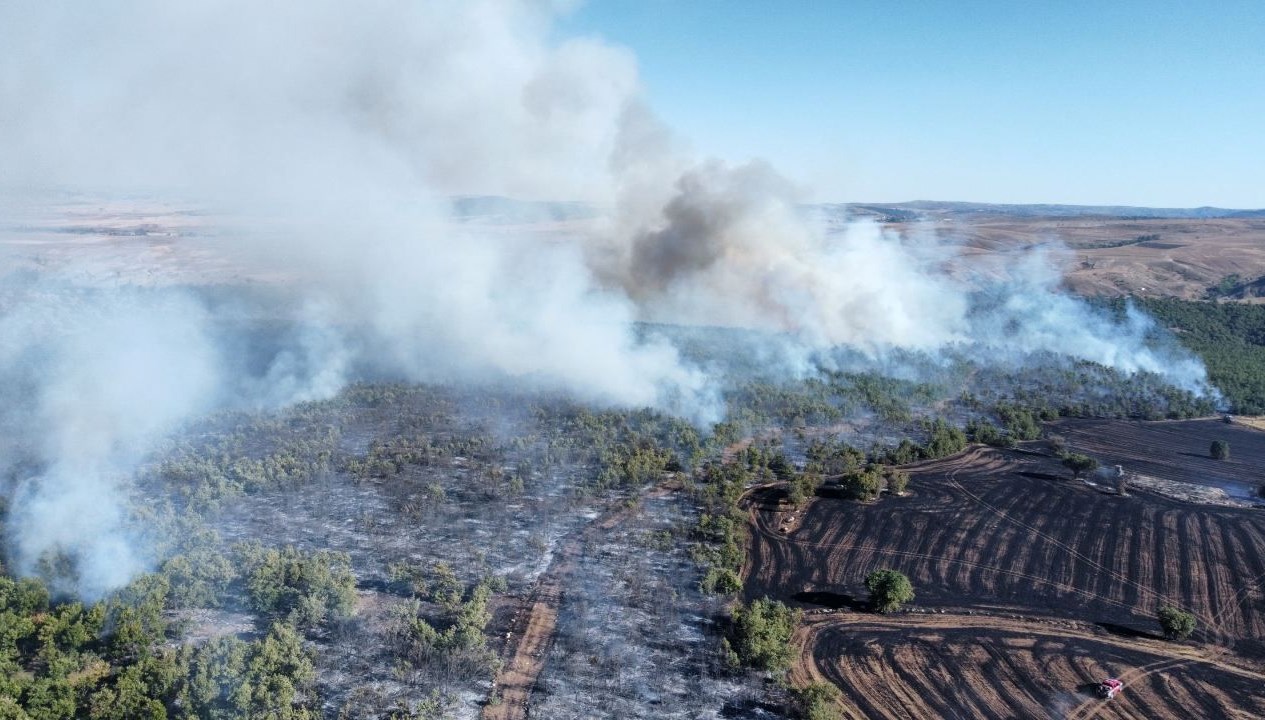 corumda arazi yangini ormanlik alana sicradi WNDgLVi5