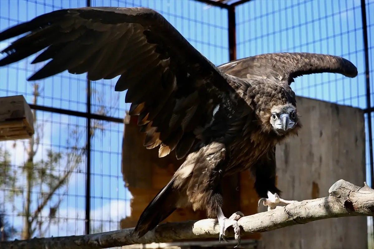 sakaryada lise ogrencileri meslek secimlerini saha gozlemleriyle sekillendiriyor LvbtmRur