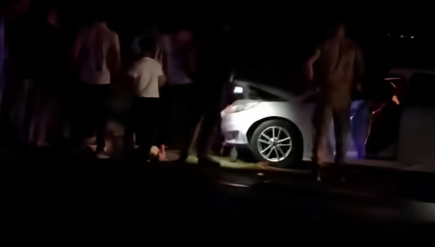 Van’da otomobil sürüye çarptı: 8 koyun telef oldu