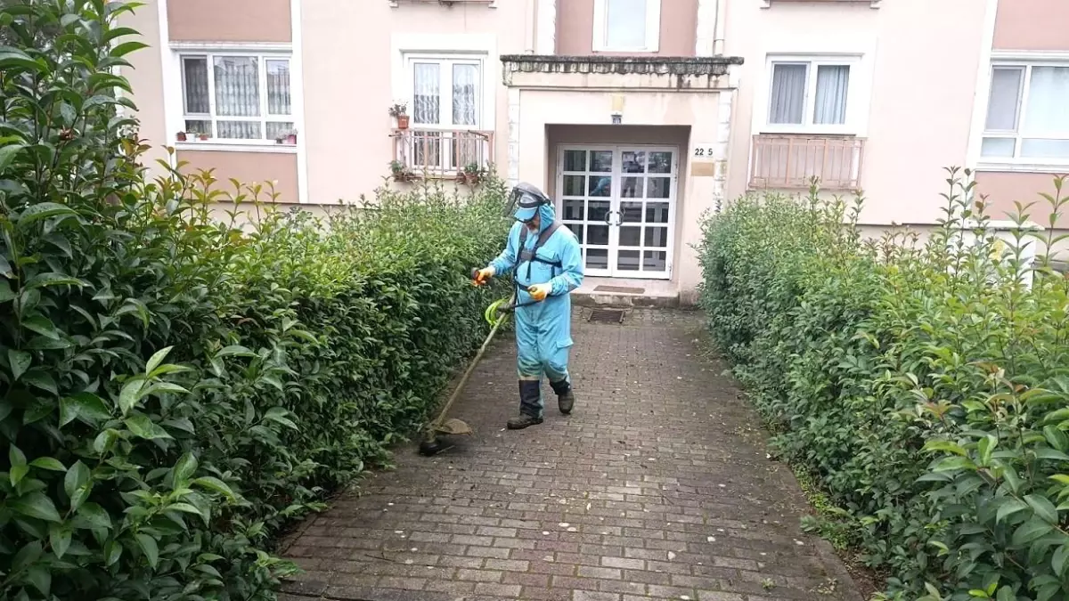 Başiskele’de Yeşil Alanlar Estetik Görünüme Kavuşuyor