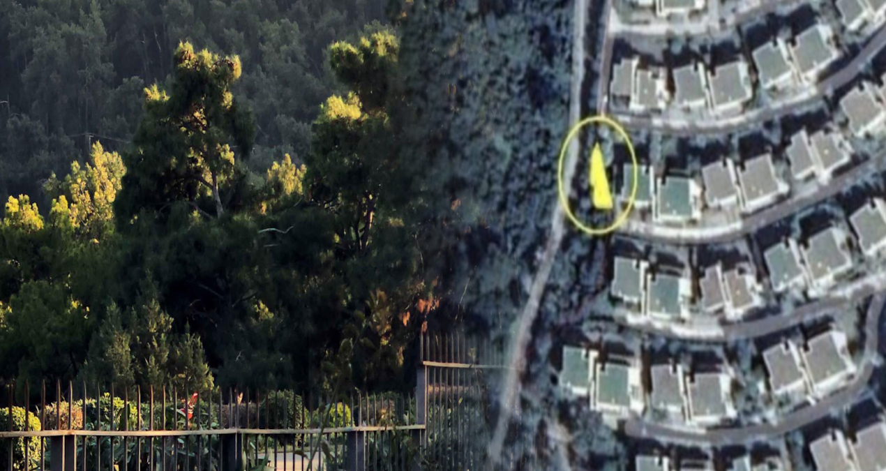 Turistik belde orman dışına çıkarılmak istenen araziyi danıştay durdurdu