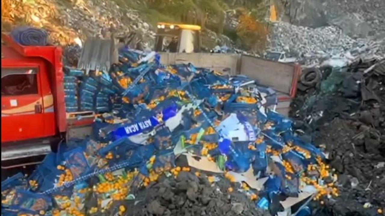 Zirai ilaç kalıntısı tespit edilen 6,1 ton mandalina imha edildi